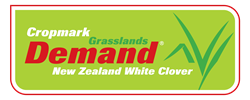 Demand NZ White Clover (medium leafed)