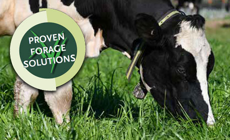 Proven Forage Solutions 2024