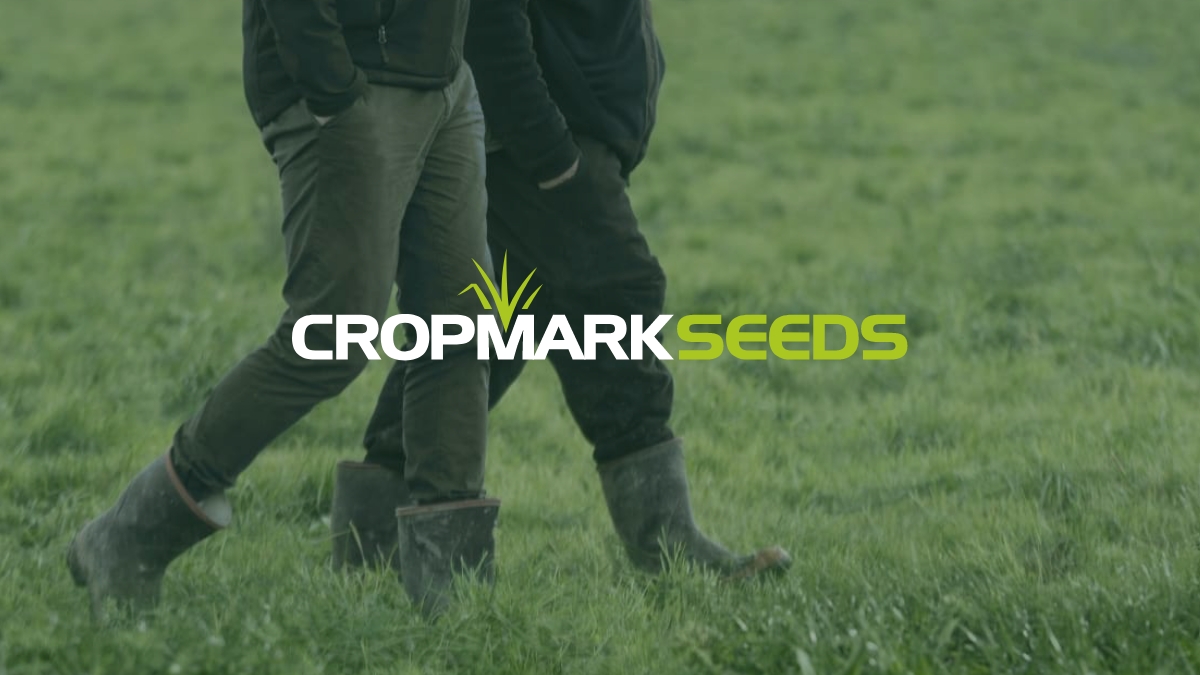 seed-selector-cropmark-australia