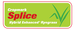 Splice Hybrid Enhanced ® Ryegrass