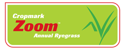 Zoom Annual Ryegrass
