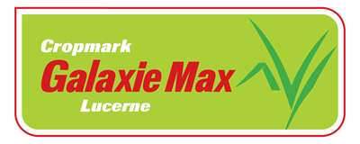 Galaxie Max