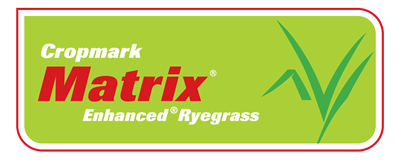Matrix Enhanced ® Ryegrass