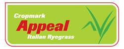 Appeal Italian Ryegrass