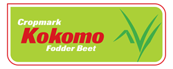 Kokomo Fodder Beet