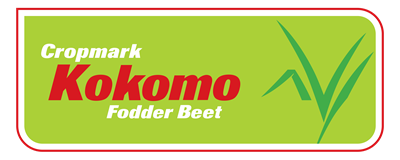 Kokomo Fodder Beet