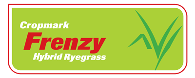 Frenzy Hybrid ryegrass