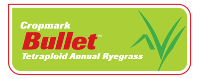 Bullet™ Annual Ryegrass