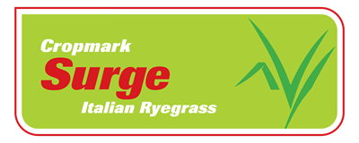 Surge Italian Ryegrass