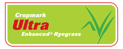 Ultra Enhanced ® Ryegrass 