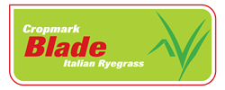 Blade Italian Ryegrass