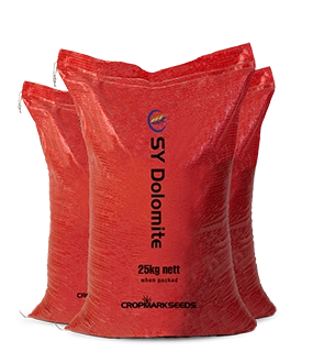SY Dolomite