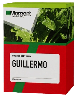 Guillermo