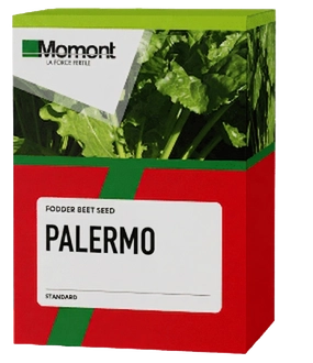Palermo